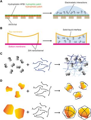 Frontiers Recent Technical Advances In Sample Preparation For Single